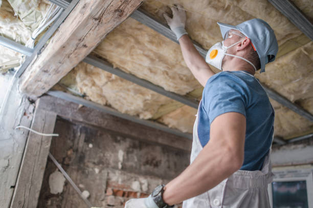 Best Cellulose Insulation in Sinking Spring, PA